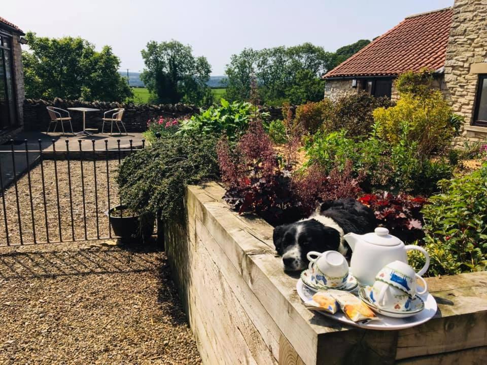 Valley View Farm Holiday Cottages Helmsley Zewnętrze zdjęcie